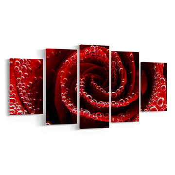 ROSE, Set 5 piese